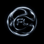 Forward Labs